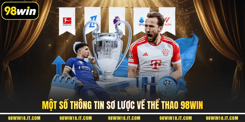 mot-so-thong-tin-so-luoc-ve-the-thao-98win